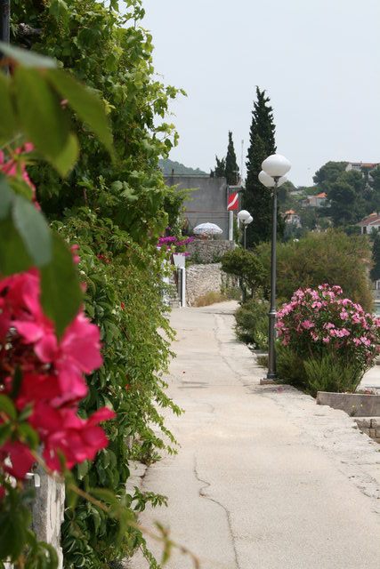gal/cro 08/small-IMG_4597.JPG